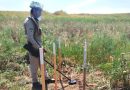 Azerbaijan Is One of the Countries Suffering the Gravest Consequences of the Mine Threat